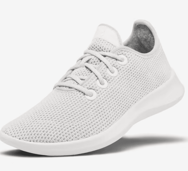all birds shoes gift idea