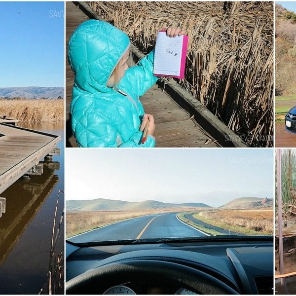Collage showing pictures of Coyote Hills and the Camry SE