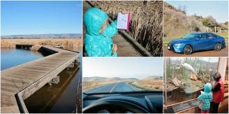 Collage showing pictures of Coyote Hills and the Camry SE