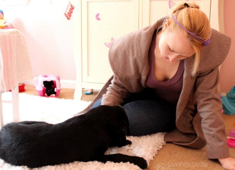 3 Simple Tips For Managing the Pet Hair Mess
