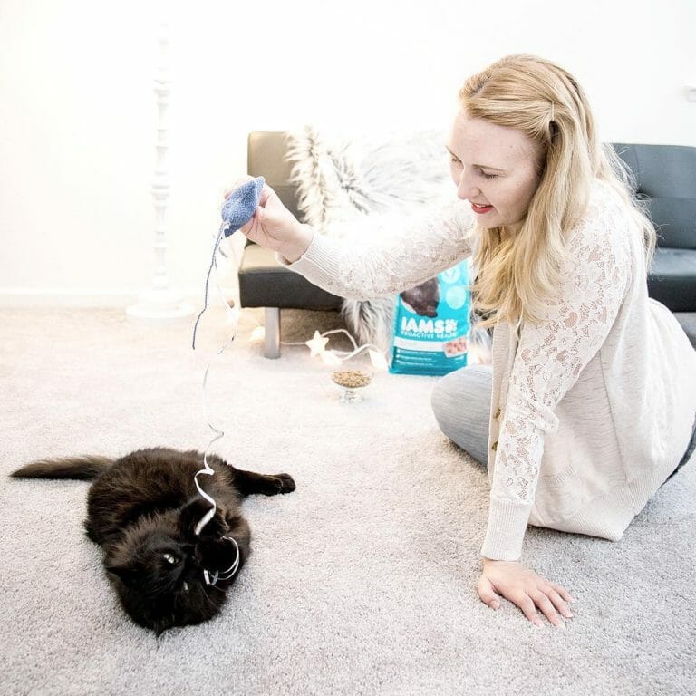 Where to Board Your Pet While On Vacation