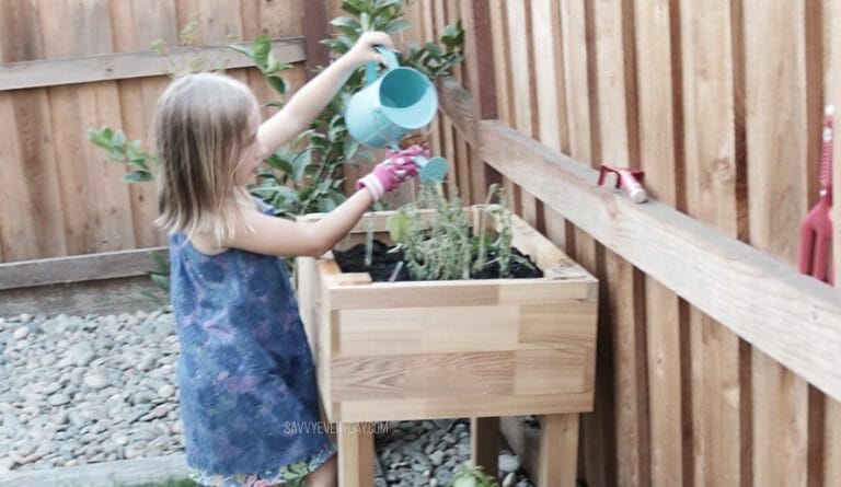 5 Necessary Items for a Family’s First Harvest