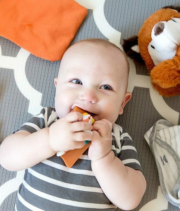 fox themed baby stuff