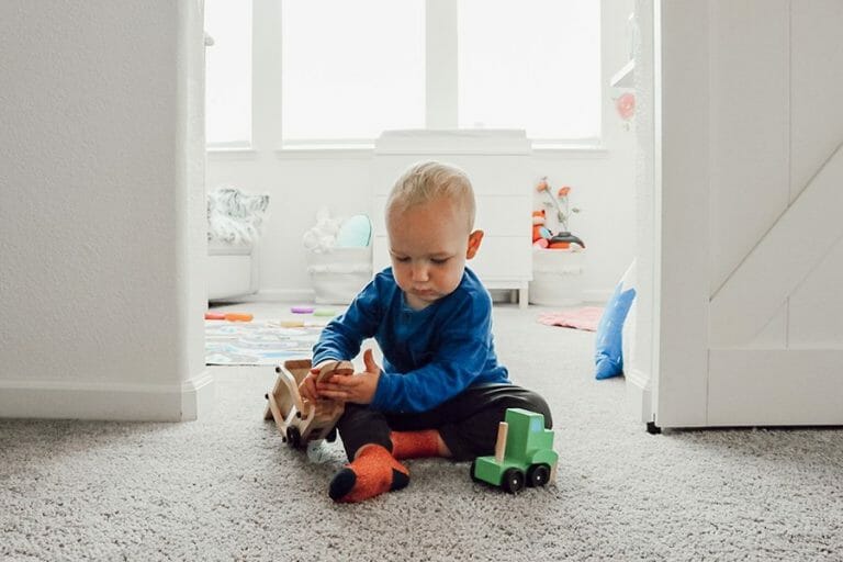 Bohemian Wilderness Themed Baby & Toddler Shared Room