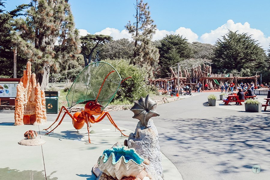 SF Zoo playground