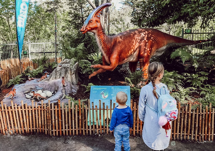 kids looking at dinosaur at California Academy of Sciences