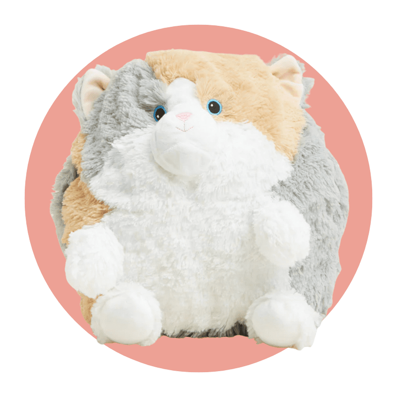 Warmies giant cat preschool gift