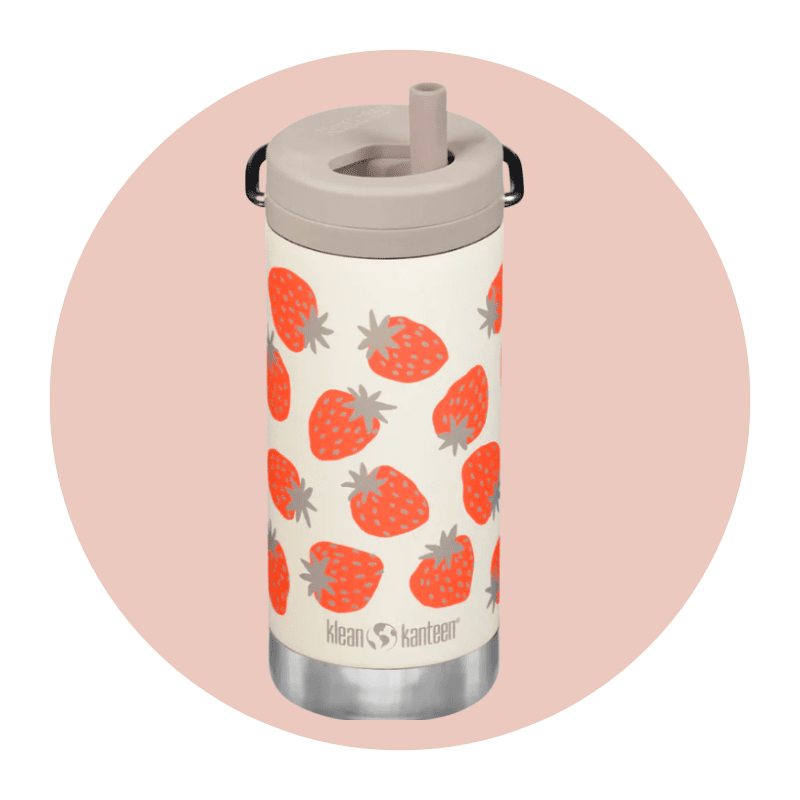 klean kanteen guide